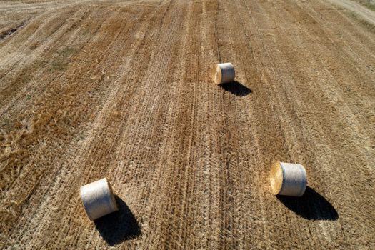 Aerial photographic documentation of a field with round bales in the summer season