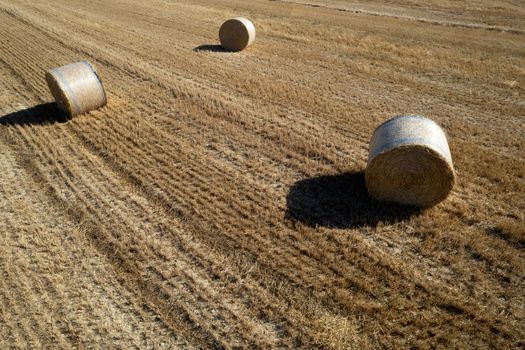 Aerial photographic documentation of a field with round bales in the summer season