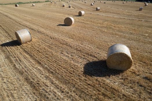 Aerial photographic documentation of a field with round bales in the summer season