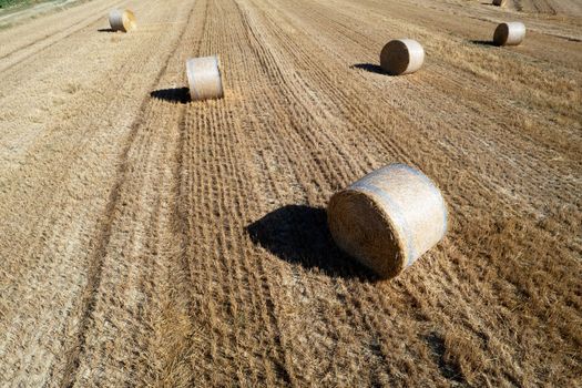 Aerial photographic documentation of a field with round bales in the summer season