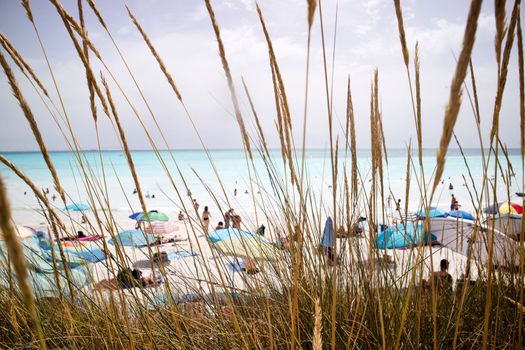 Photographic documentation of the white beaches of Vada a Rosignano Italy in summer