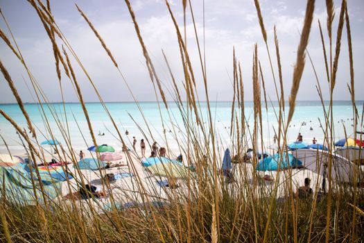 Photographic documentation of the white beaches of Vada a Rosignano Italy in summer