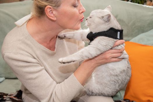 The owner kisses a kitten on a leash with a harness before the first walk in the fresh air, Sitting on the sofa, High quality photo