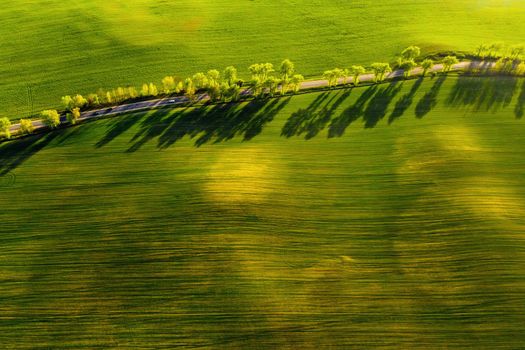 A bird's-eye view of a green field and a road in Europe.Nature Of Belarus.Own green field at sunset and road.