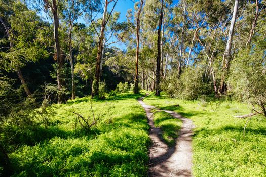 Mountain bike trails and landscape around Plenty Gorge in Northern Melbourne in Victoria, Australia