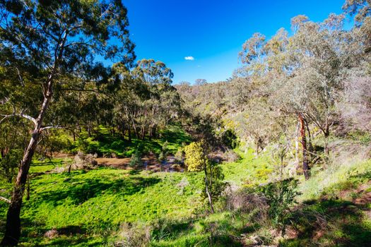Mountain bike trails and landscape around Plenty Gorge in Northern Melbourne in Victoria, Australia