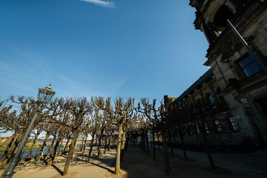 Dresden, Saxon Switzerland, Germany: A street in the center of the city and the old buildings of Dresden.