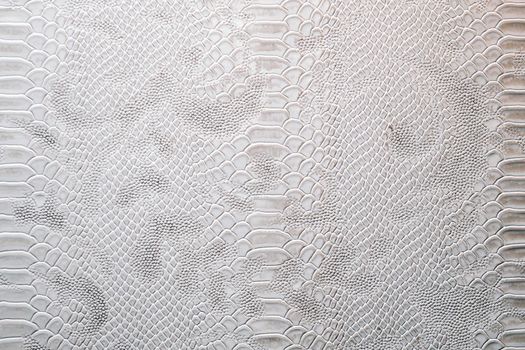 Leather with crocodile dressed texture. Dragon skin background in silver colors