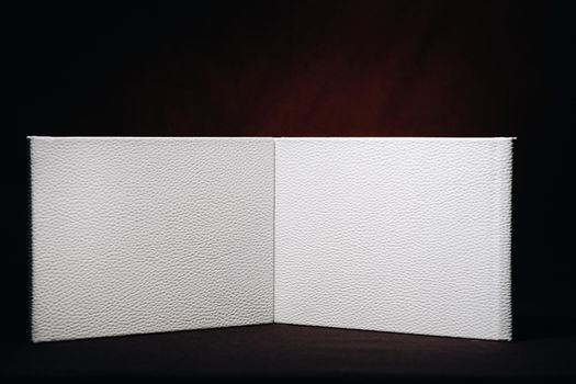 Composition of photo books in natural white leather of different sizes. The white paper on a dark background