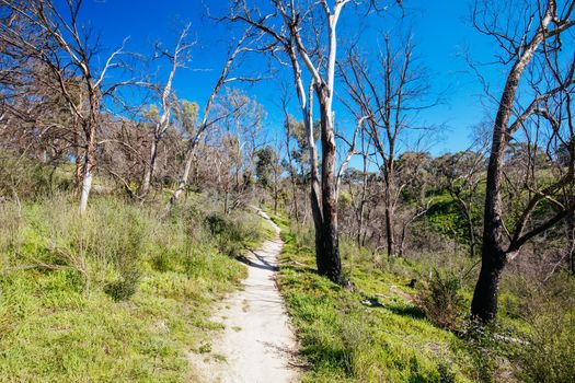 Mountain bike trails and landscape around Plenty Gorge in Northern Melbourne in Victoria, Australia