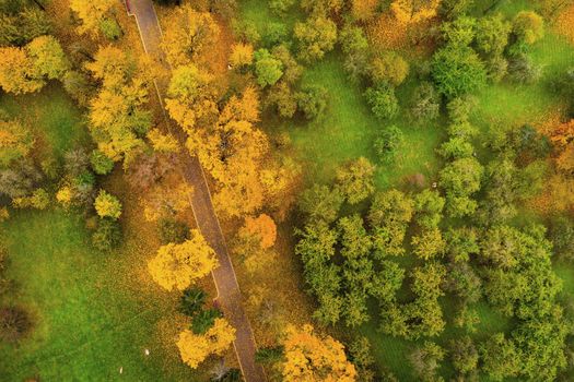 View from the height of autumn on loshitsky Park in Minsk. of the road in the Loshitsa Park.Belarus.Autumn.