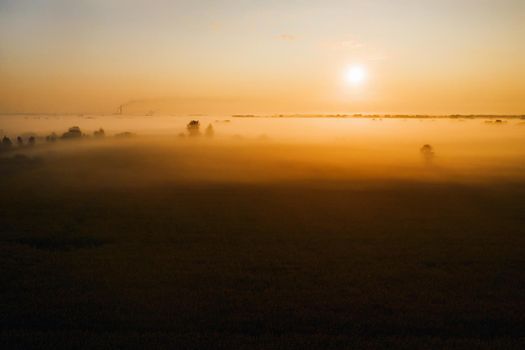 amazing sunrise in the countryside over forest expanses and fields. Amazing dawn in Ukraine and heights.Taking photos from a nature quadcopter.