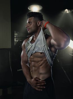 Bodybuilder showing off his abs in the gym holding up his t-shirt, creative photo, sexy guy in tight clothes, beautiful body, physique, relief, sexy guy