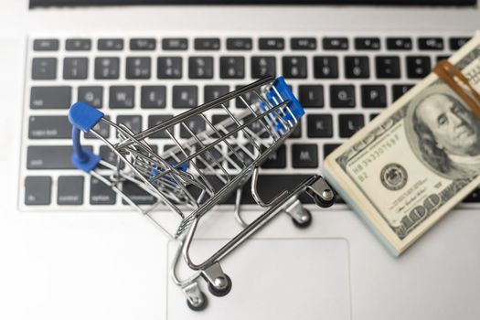 Small shopping trolley with dollars banknotes on white background.