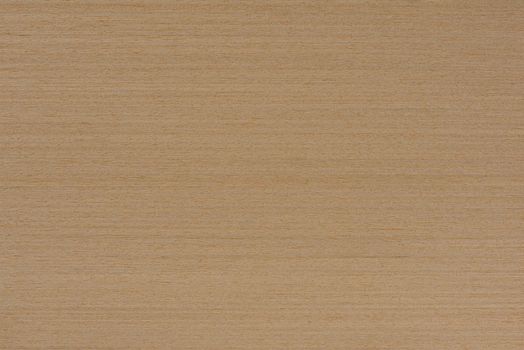 Wood texture, ash veneer texture for furniture, doors or flooring. Light ash wood veneer, top view