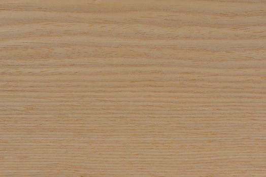 Wood texture. Natural maple texture. Maple board for furniture production. Untreated young maple board with fine texture in light color.