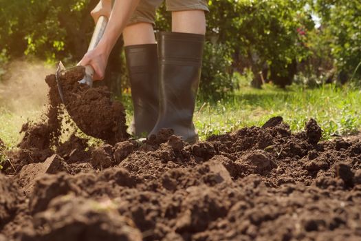 Farmer digging in garden spade soil shovel digging spade grass. Gardener digging soil preparation. Man shoveling dirt shovel in ground. Gardening. Tillage. Farming garden work in rubber boots farm