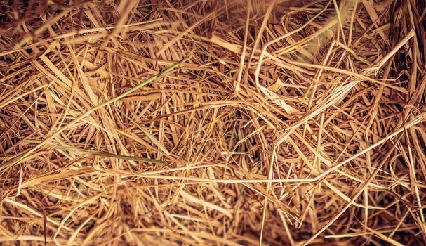 Hay close up bale background wallpaper macro stack beige tangled straw yellow gold.