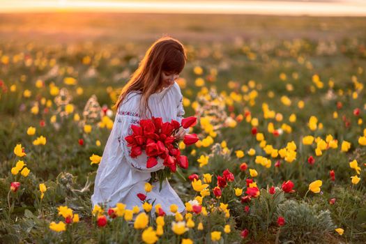 Woman field tulips sunset. Woman against sunset and wild tulip flowers, natural seasonal background. Multi-colored tulips Tulipa schrenkii in their natural habitat are listed in the Red Book