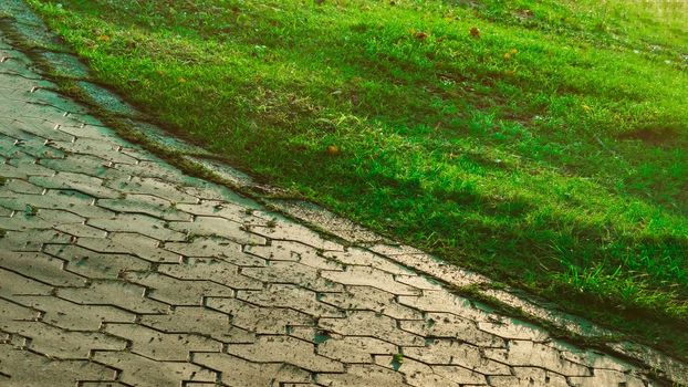 Summer morning warm sun reflect footpath garden paving stones landscape country texture track pedestrian path green grass grows near tiles diagonal line wavy.