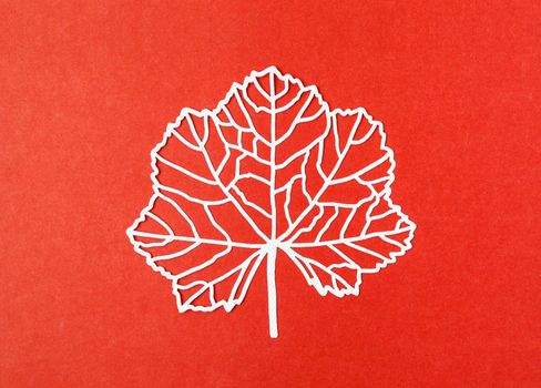 A carve of white paper leaves with empty space on a red colour cardboard background.