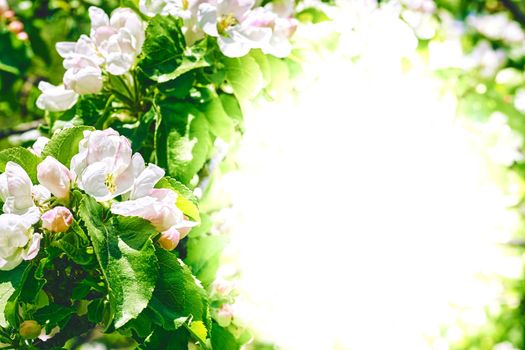the season after winter and before summer, in which vegetation begins to appear