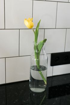 One yellow tulip flower in glass vase indoors - springtime and gift present