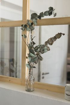 Dry plants in minimalistic glass jar. Vertical image of branch with dry leaves in stylish simple glass vase. Decoration and interior
