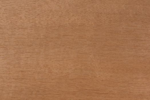 Wood with fine horizontal texture. Anigre wood texture with a reddish brown tint. Exotic wood from Africa for the production of plywood, furniture or interior elements.