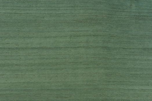 Texture of green wood. The texture of koto wood with a greenish tint. Exotic rare wood from Africa for the production of expensive furniture or interior elements.