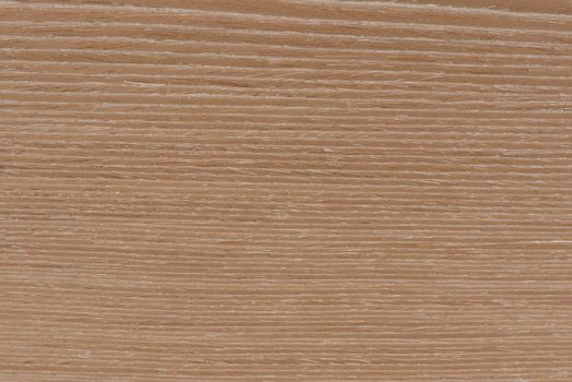 Dark oak texture. Texture of natural solid wood. Oak board with a dark brown tint, wood for the production of furniture, floors or doors.