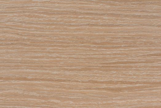 Texture of oak. Texture of natural solid wood. Oak board with a white tint, bleached wood for the production of furniture, floors or doors