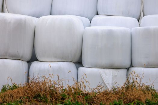 Hay Bales Wrapped in Plastic and Stacked for Outdoor Storage at Farm. High quality photo