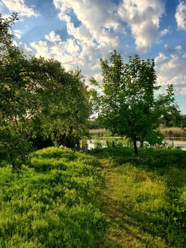 River side landscape with green grass springtime nature.