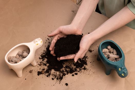 Spring repotting housplant. Spring care plant. Houseplant transplant in new pot. Boy hands replanting succulents