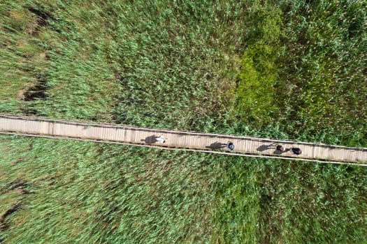 Aerial view of the pedestrian walkway inside the park of Massaciuccoli Italy 