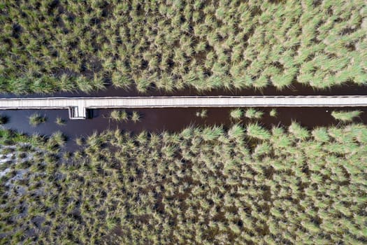 Aerial view of the pedestrian walkway inside the park of Massaciuccoli Italy 