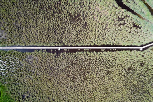 Aerial view of the pedestrian walkway inside the park of Massaciuccoli Italy 