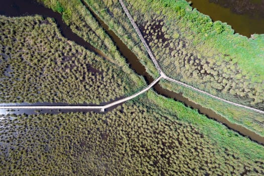 Aerial view of the pedestrian walkway inside the park of Massaciuccoli Italy 