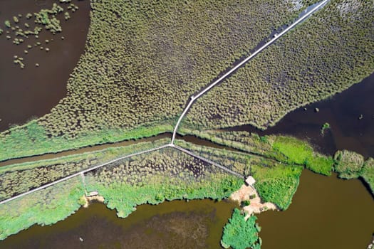 Aerial view of the pedestrian walkway inside the park of Massaciuccoli Italy 