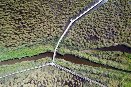 Aerial view of the pedestrian walkway inside the park of Massaciuccoli Italy 