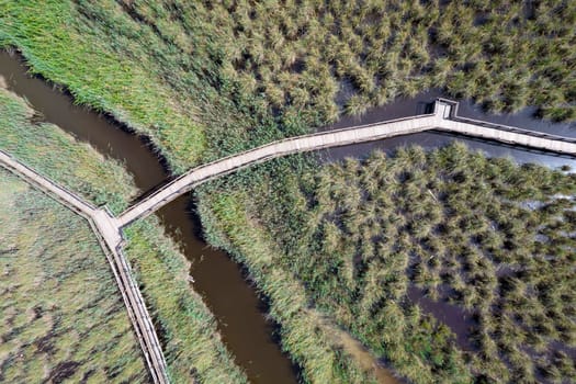 Aerial view of the pedestrian walkway inside the park of Massaciuccoli Italy 