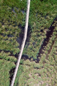 Aerial view of the pedestrian walkway inside the park of Massaciuccoli Italy 