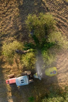 Aerial photographic documentation of the time of the pesticide treatment in an olive plantation