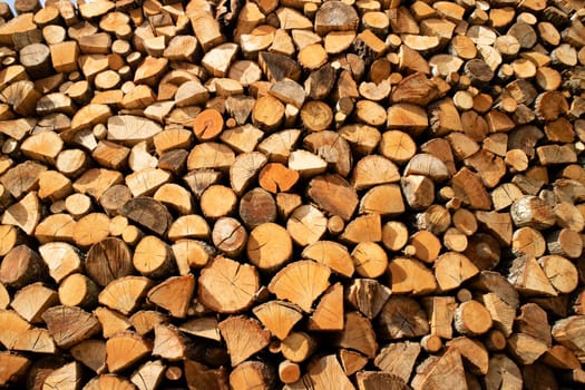 Photographic documentation of a large pile of firewood in reserve for the winter 