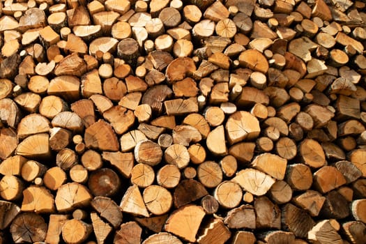 Photographic documentation of a large pile of firewood in reserve for the winter 