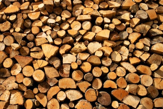 Photographic documentation of a large pile of firewood in reserve for the winter 