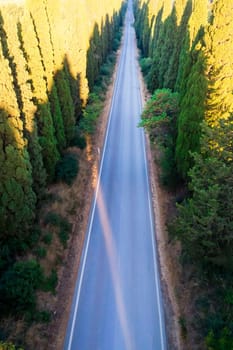 Aerial shot of the ancient and famous avenue of cypresses that from San Vito leads to the city of Bolgheri Tuscany Italy 