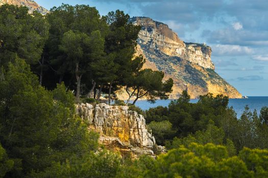 View of the Calanque de Port Mioux, one of the largest fjords between Marseille and Cassis, France.