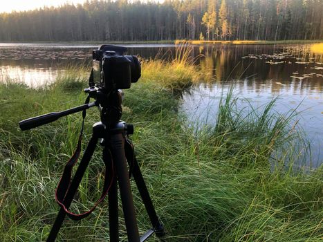 Close-up of green grass on the background of the lake, the camera in the background on a tripod. Film grain effect.